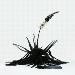 Selfeater (Agave Autovora) by Troika